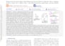 perform molecular docking and drug discovery analysis